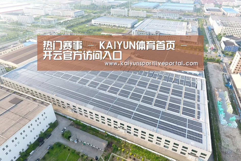 案例展示一