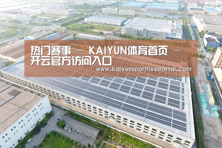 案例展示二