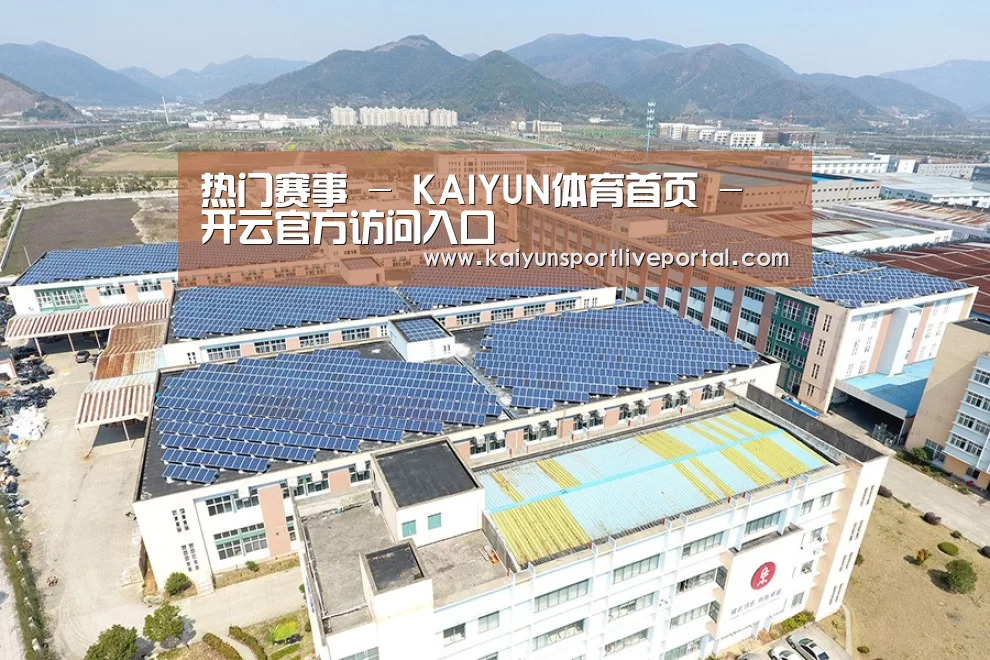 案例展示四