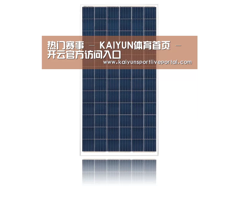 产品名称四