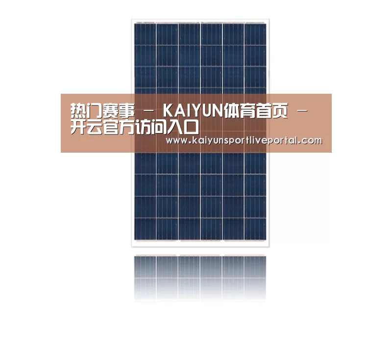 产品名称一