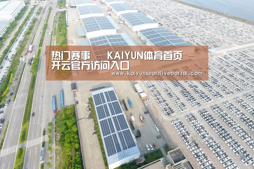 案例展示一