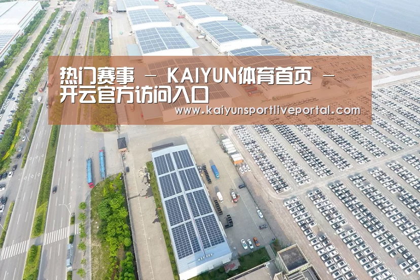 案例展示一