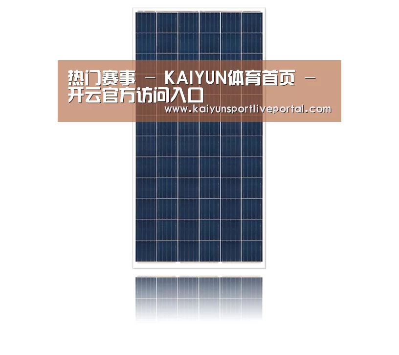 产品名称一