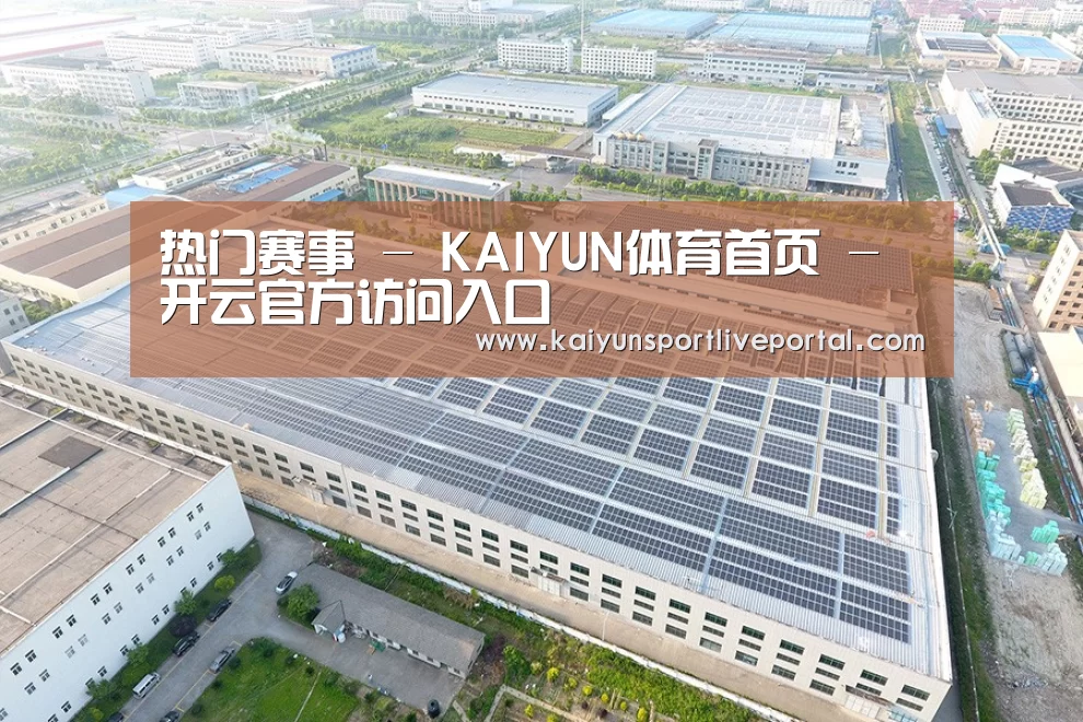 案例展示三