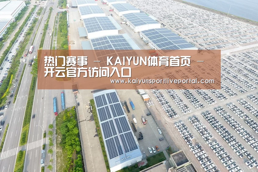案例展示四