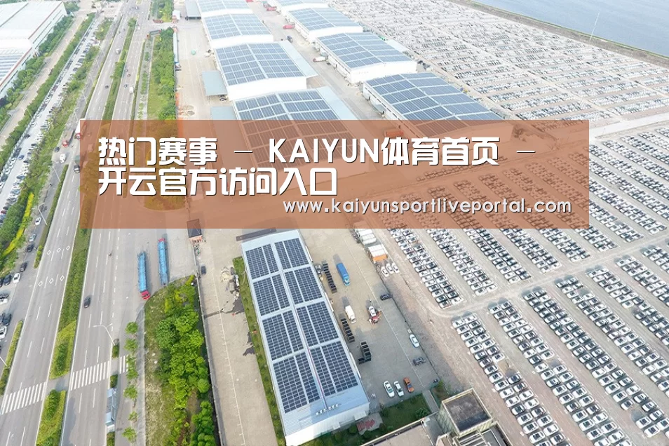 案例展示三