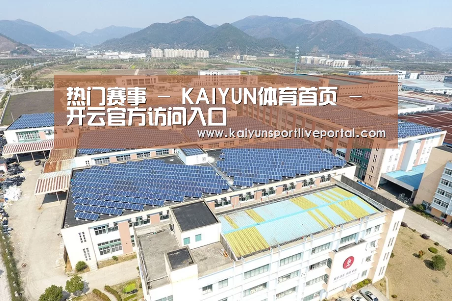 案例展示三