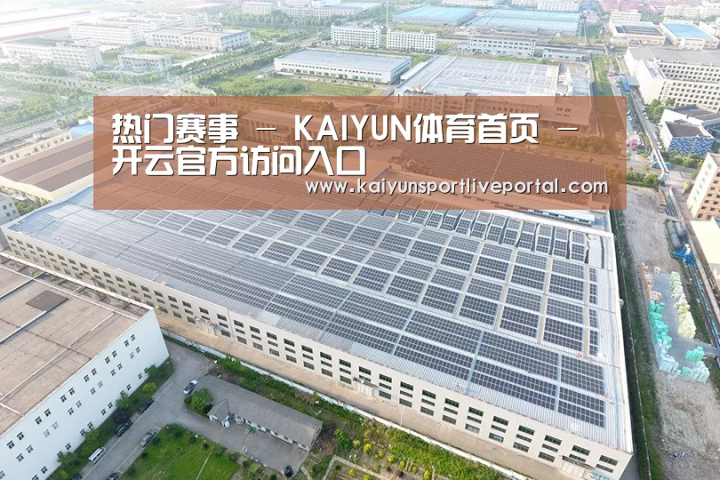 案例展示四