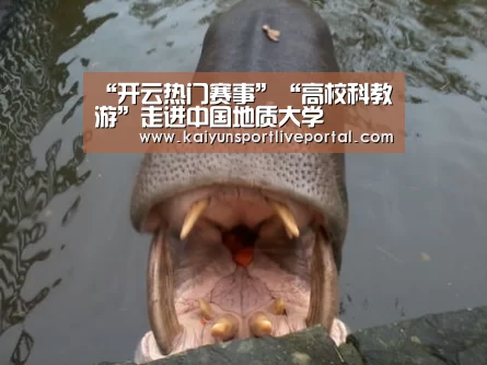 开云体育直播