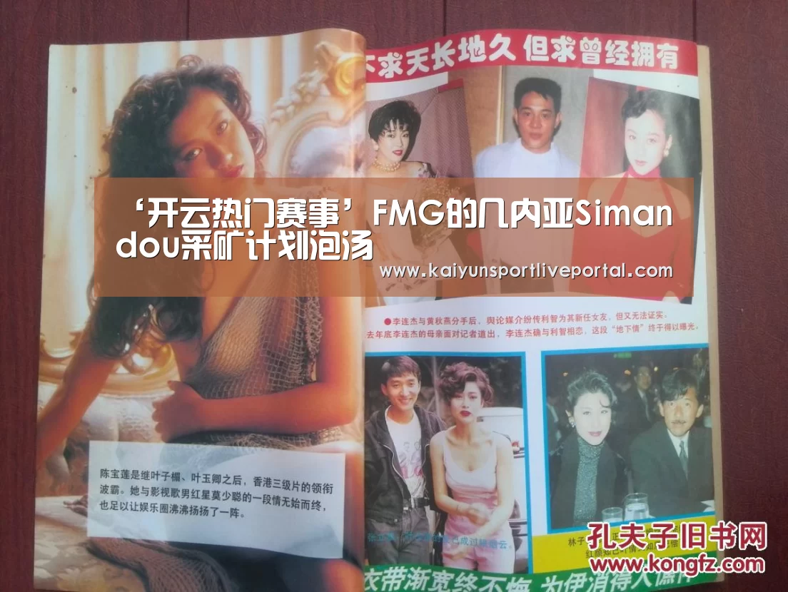 ‘开云热门赛事’FMG的几内亚Simandou采矿计划泡汤(图1) 开云热门赛事