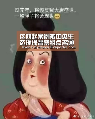 开云体育直播