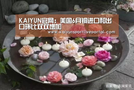 开云赛事