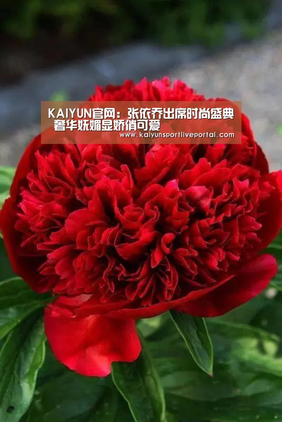 KAIYUN官网:张依乔出席时尚盛典 奢华妩媚显娇俏可爱(图1) 开云体育直播